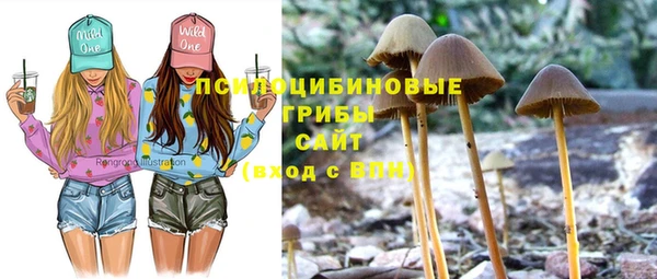 тгк Баксан